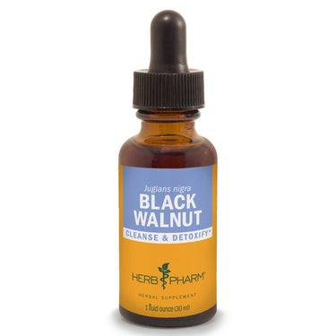 Black Walnut - My Village Green